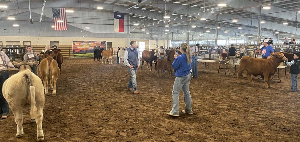 Cattlelac Elite Livestock Events